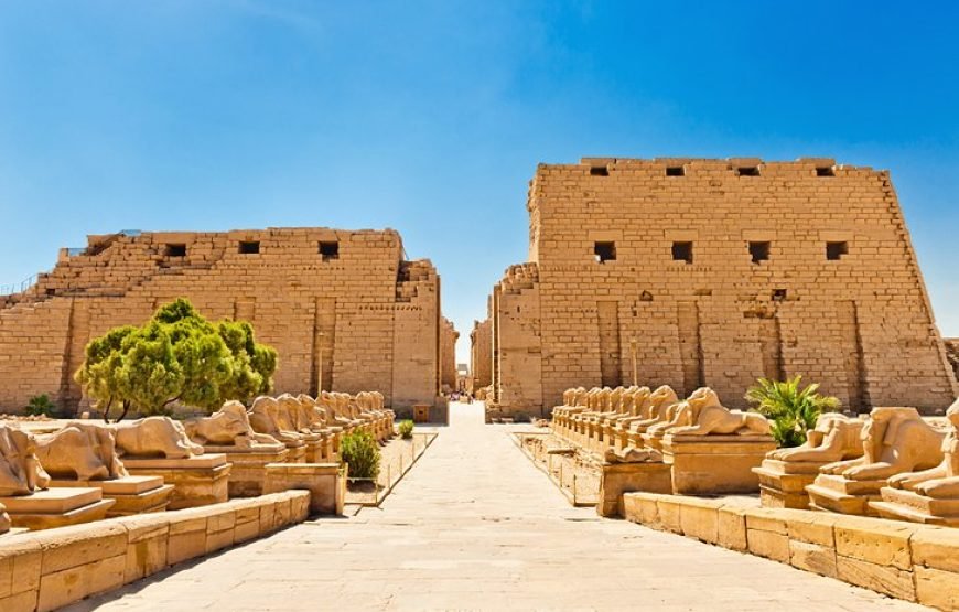 Private Tour to Luxor’s temples