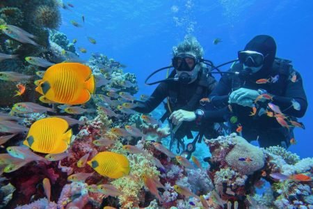 Wissen bevor Sie gehen: Tauchen in Sharm el Sheikh