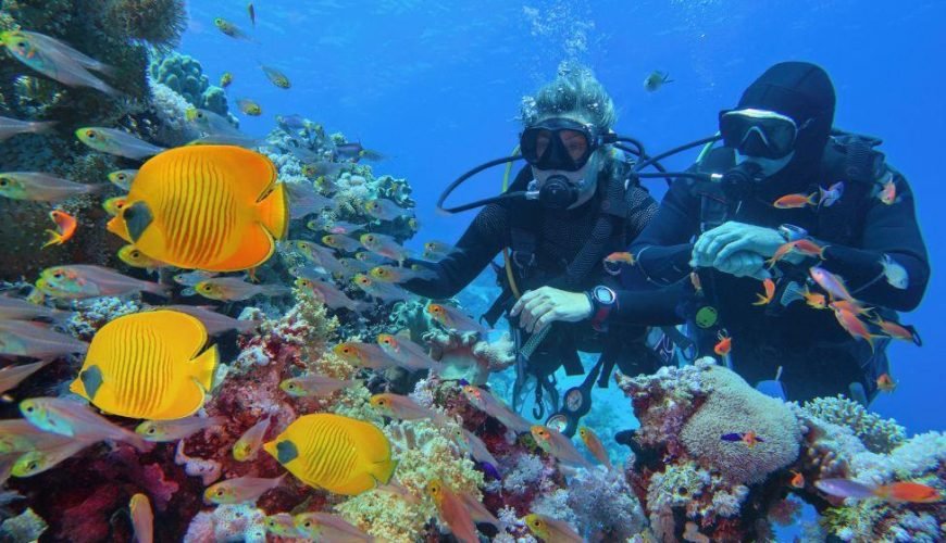 Know Before You Go: Scuba Diving in Sharm el Sheikh